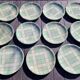 Salins Hossegor model 26-piece dinnerware set