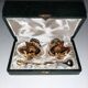 Pair of salerons Golden porcelain swans