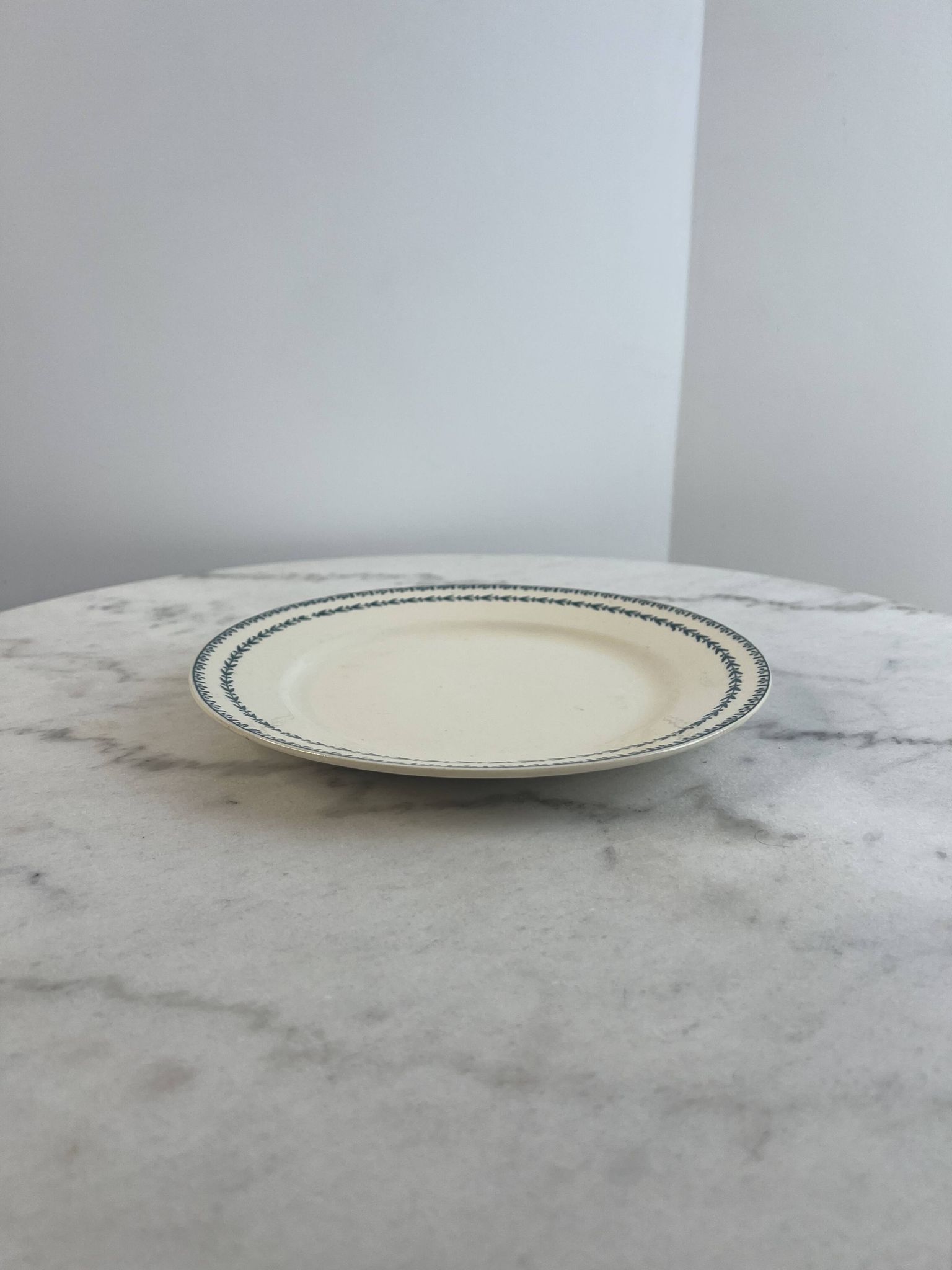 Terre de fer assiette plate Sarreguemines Carlos