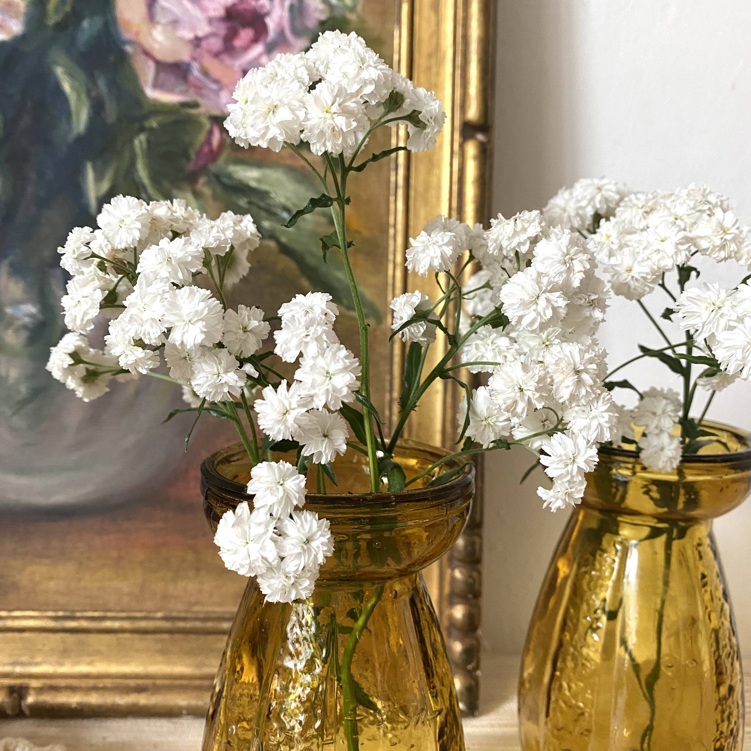 Paire de vases à jacinthe en verre ambré bullé