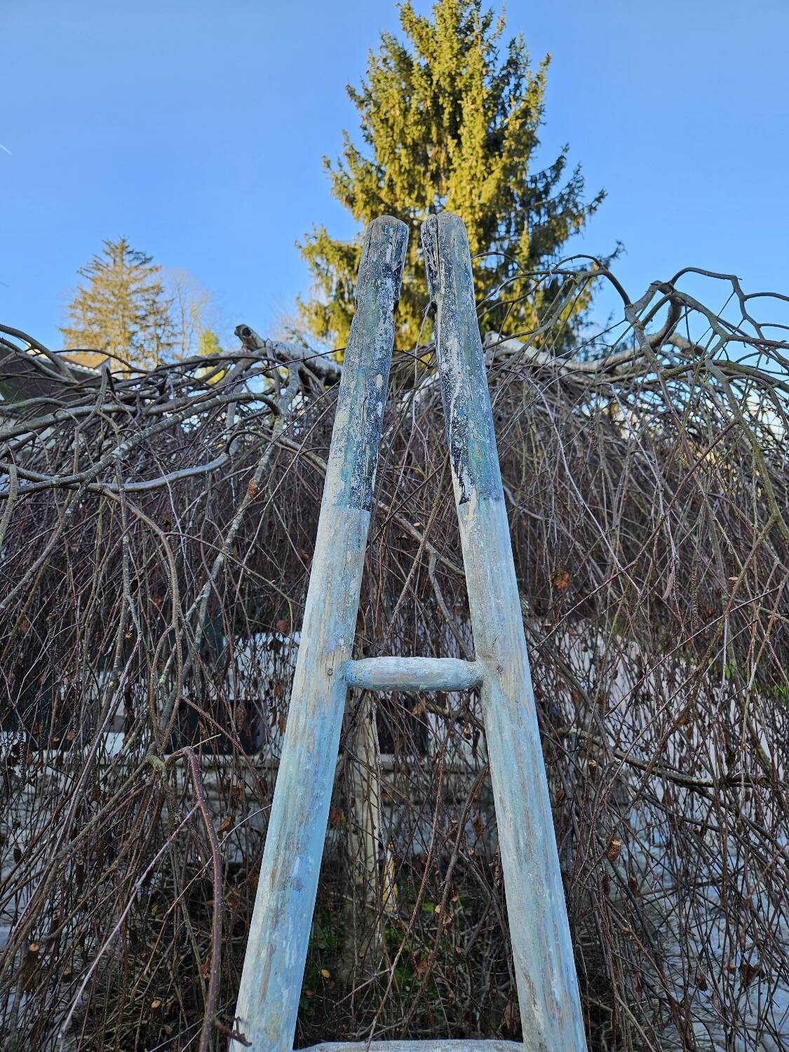 Wooden picking ladder