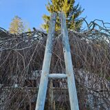 Wooden picking ladder