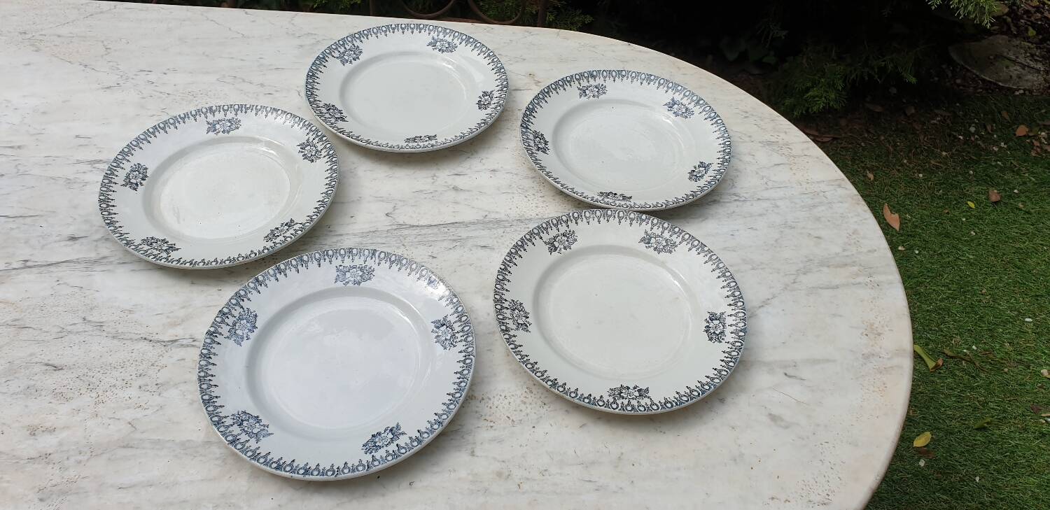 5 Saint Amand flat plates