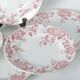 Assiettes plates terre de fer St Amand & hamage
