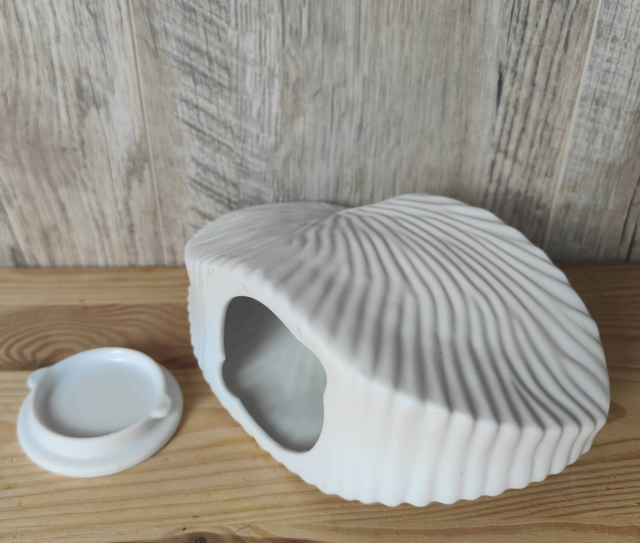 Shell tea light holder