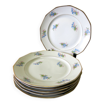 Very nice set of 6 fine old porcelain dinner plates, in good condition