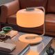 Collectible Space Age Table / Desk Lamp in Steel and Plexiglass Voghera by Zonca