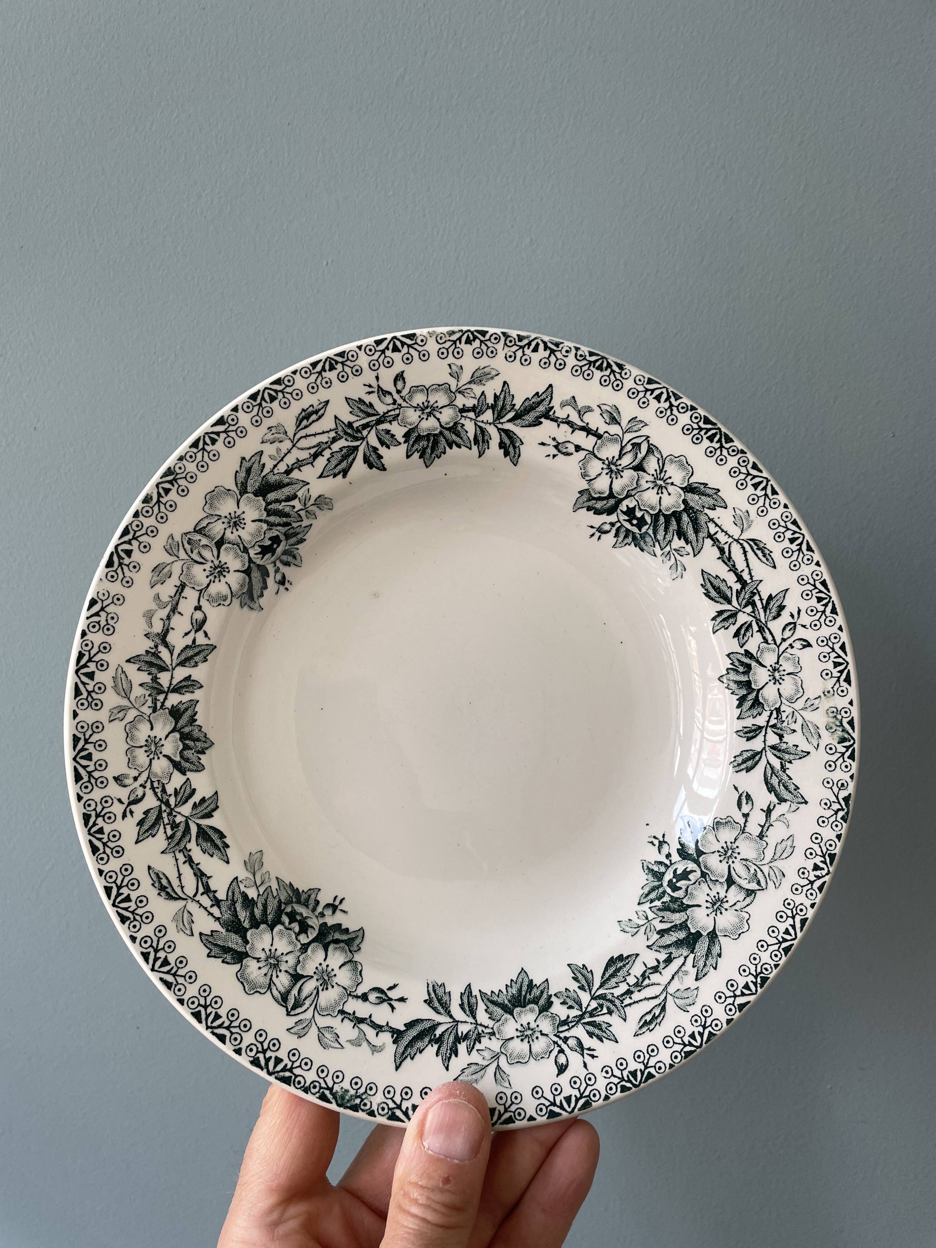 Set of 7 mismatched hollow plates Terre de Fer XIXth
