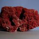 Massive coral Tubipora Musica color red, old