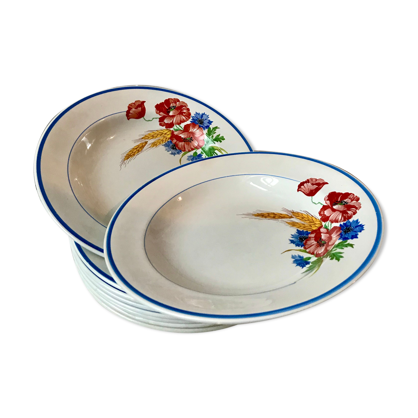 Lot of 8 hollow plates Salins model Champêtre