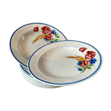Lot of 8 hollow plates Salins model Champêtre