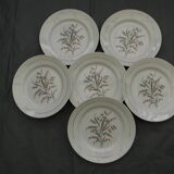 Lot de 6 assiettes plates en faïence de saint amand. modèle beauce.