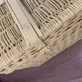 Rattan trunk