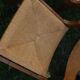 Lot de 2 chaises Guillerme et Chambon