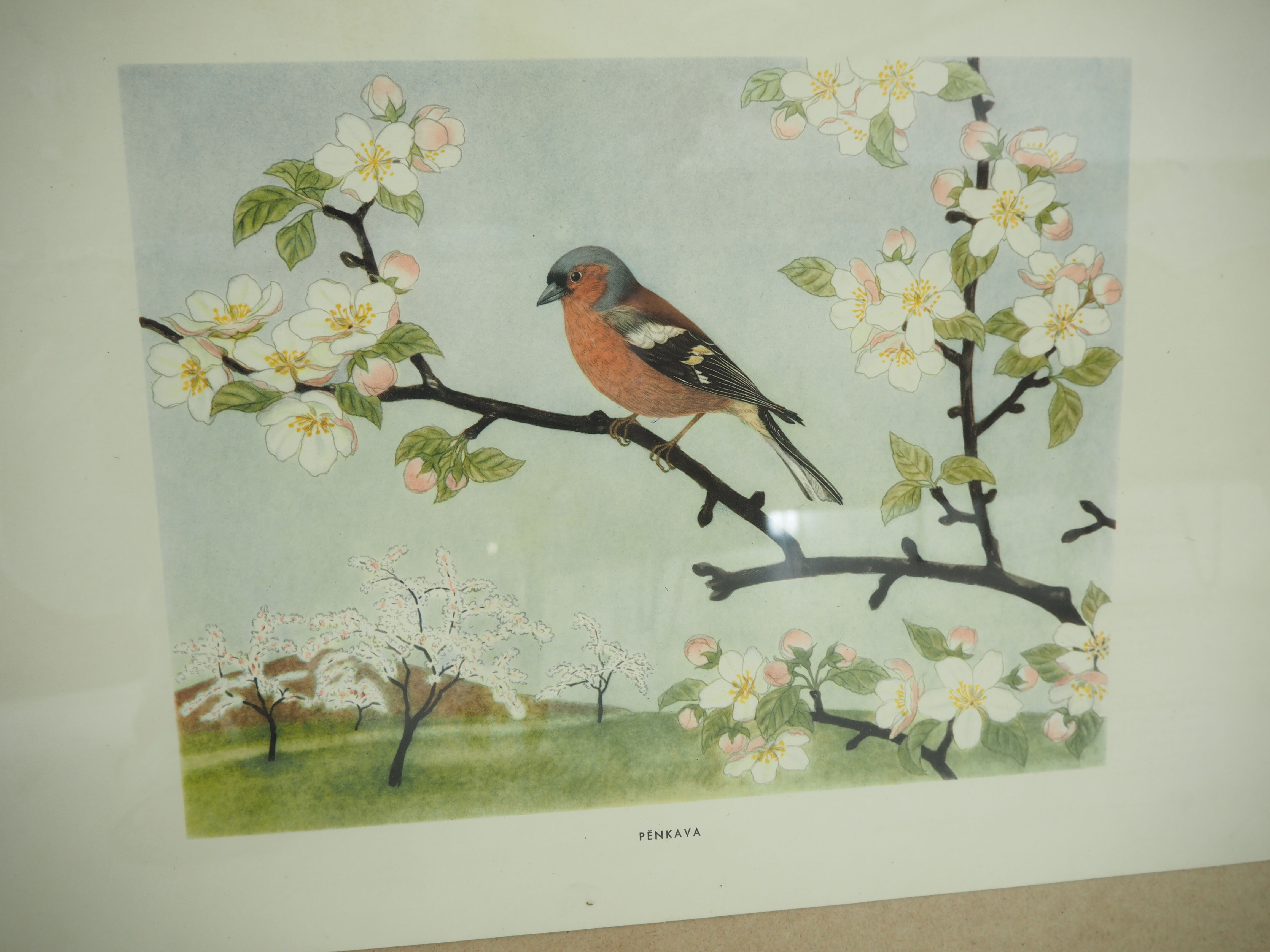 Midcentury School Poster, Czechoslovakia, 1960s