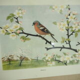 Midcentury School Poster, Czechoslovakia, 1960s