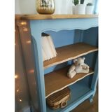 Bibus, vintage blue grey library