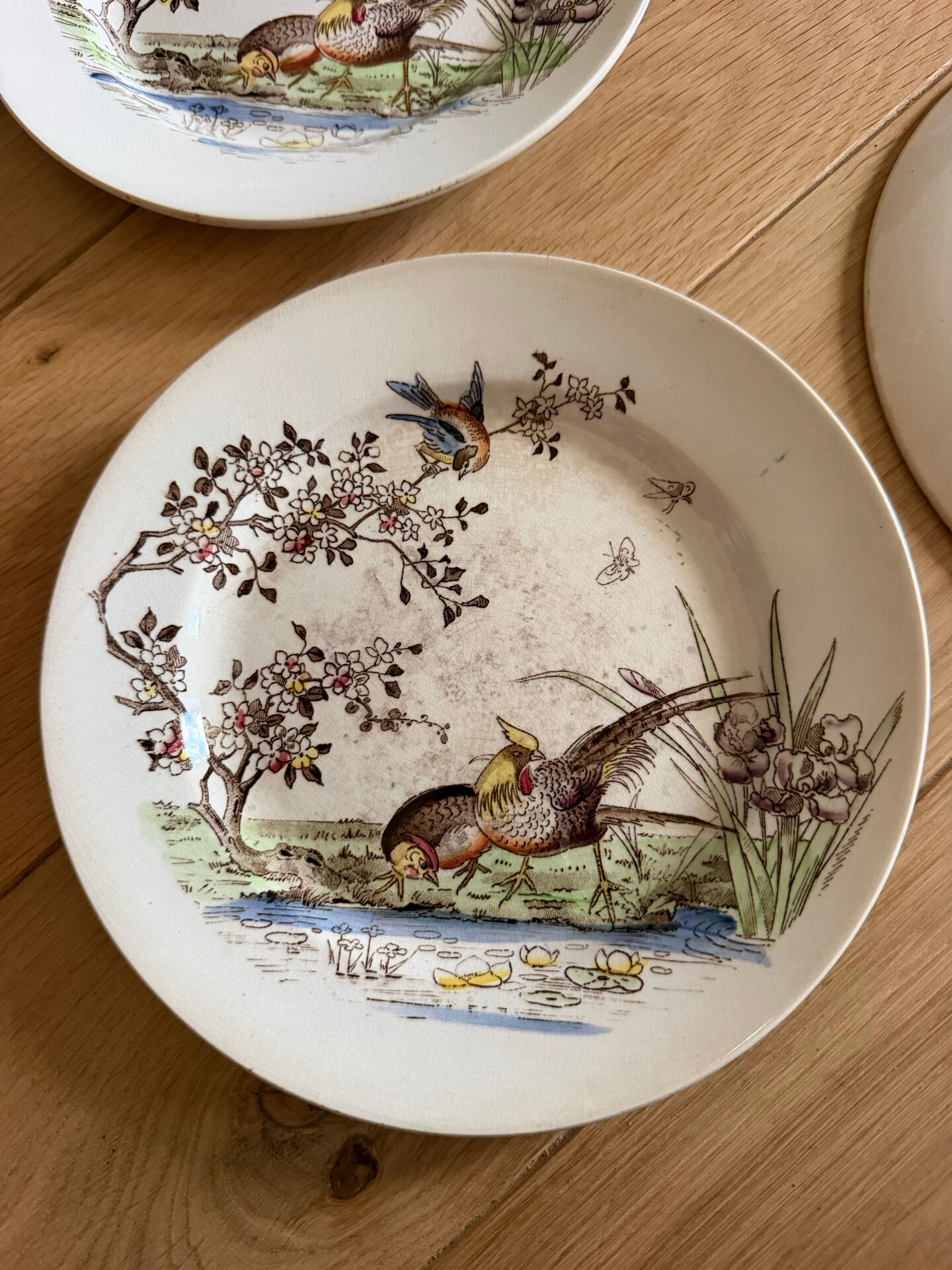 Polychrome ironstone dessert plates from Digoin and Sarreguemines.