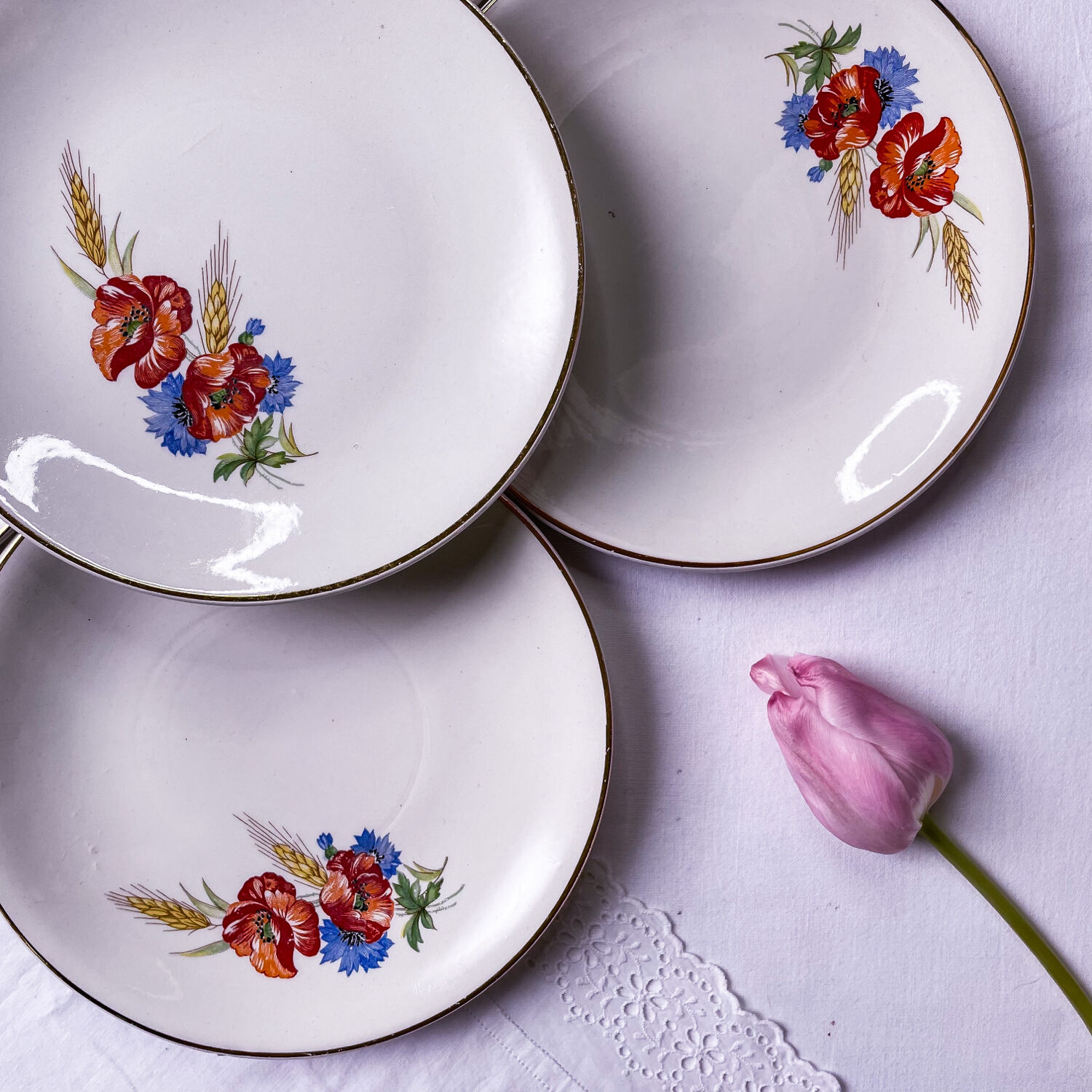 5 assiettes coquelicot