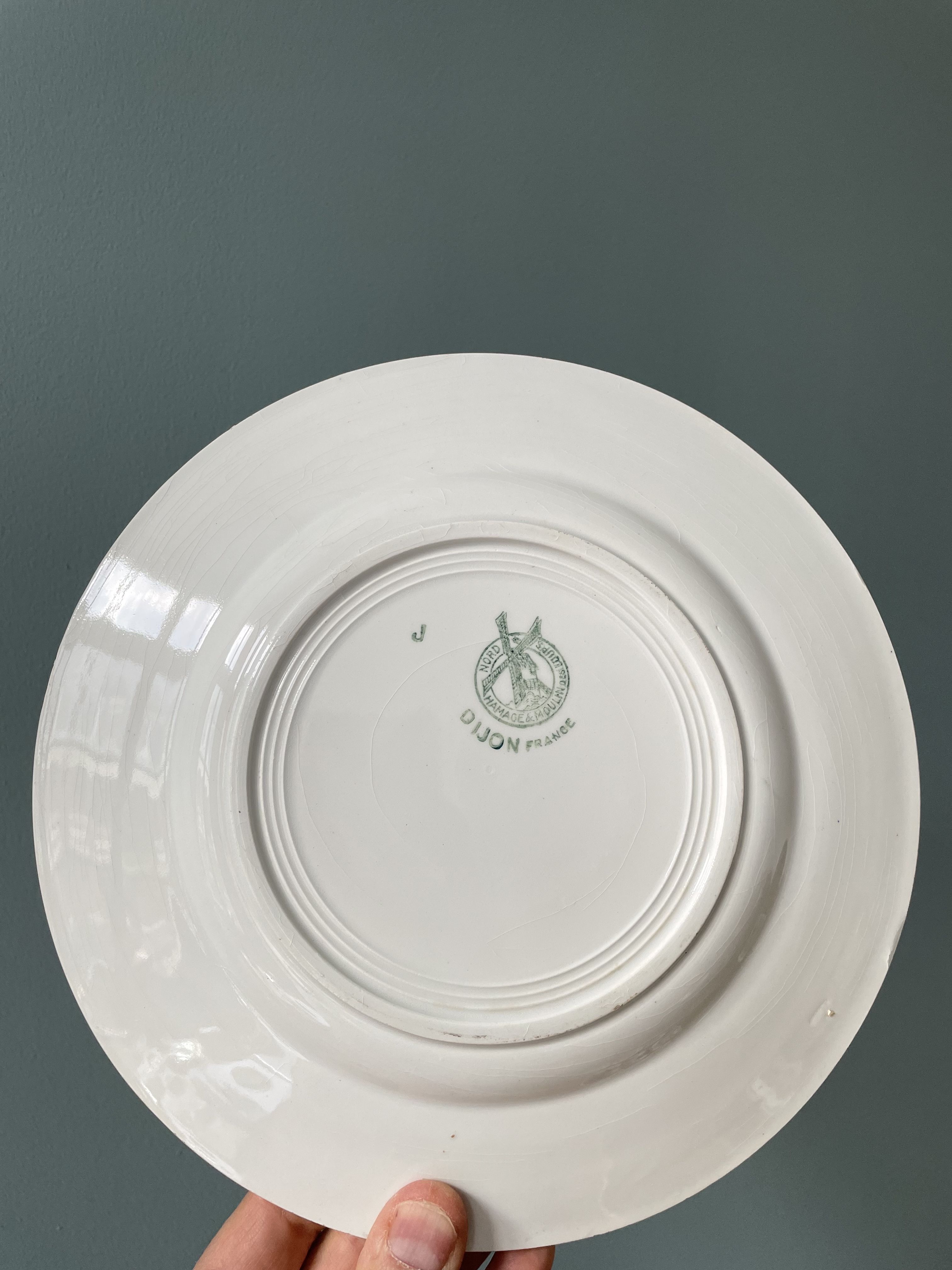 Set of 12 flat plates Terre de Fer in earthenware Moulin des Loups and Hamage, Dijon model