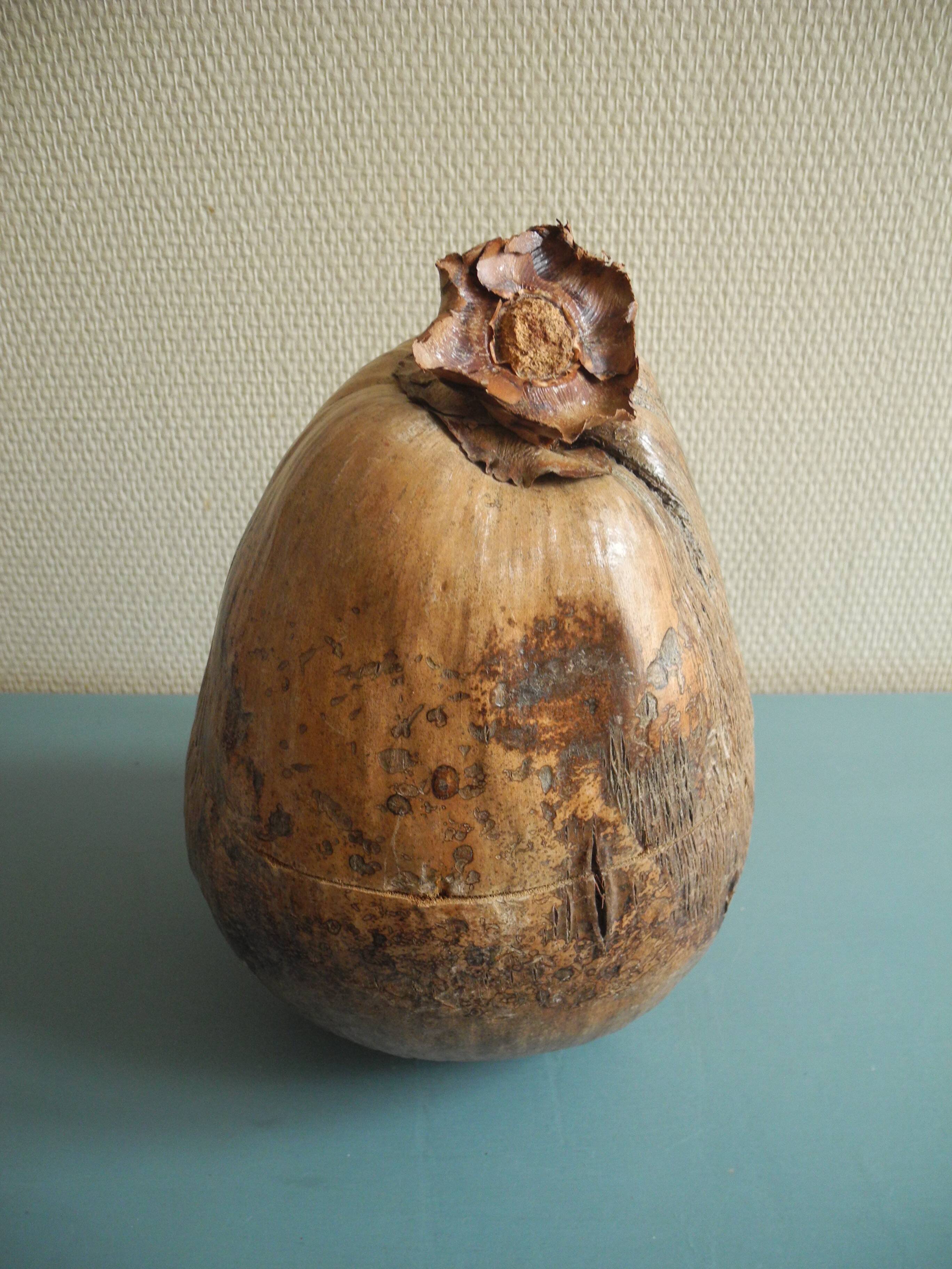 Old coconut ice bucket vintage decor ice bucket coconut 70s
