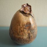 Old coconut ice bucket vintage decor ice bucket coconut 70s