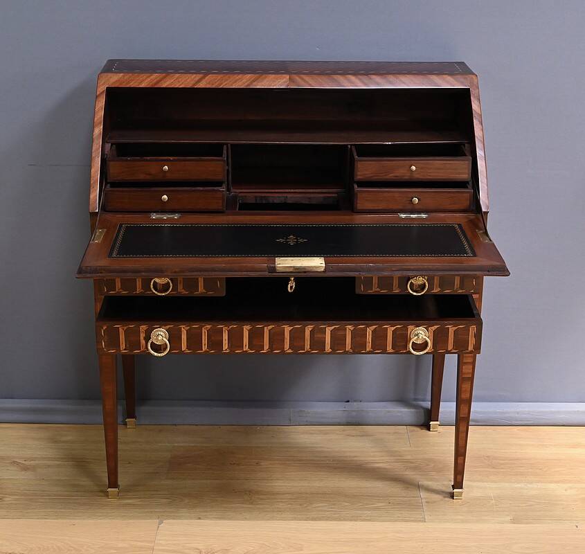 Rosewood and Mahogany Sloping Desk, Louis XVI Style – Mid-19th Century