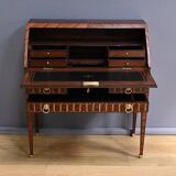 Rosewood and Mahogany Sloping Desk, Louis XVI Style – Mid-19th Century