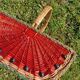 Retro watermelon basket