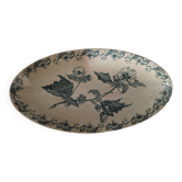Contemporary dish