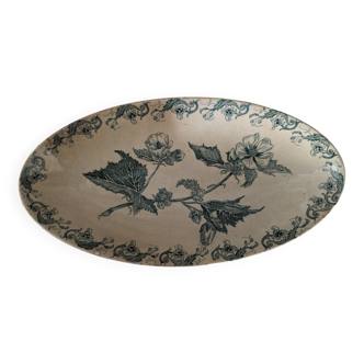Contemporary dish