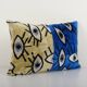 Cushion