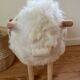 Mouton
