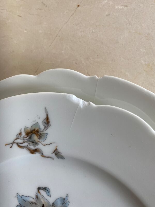 Service de vaisselle porcelaine