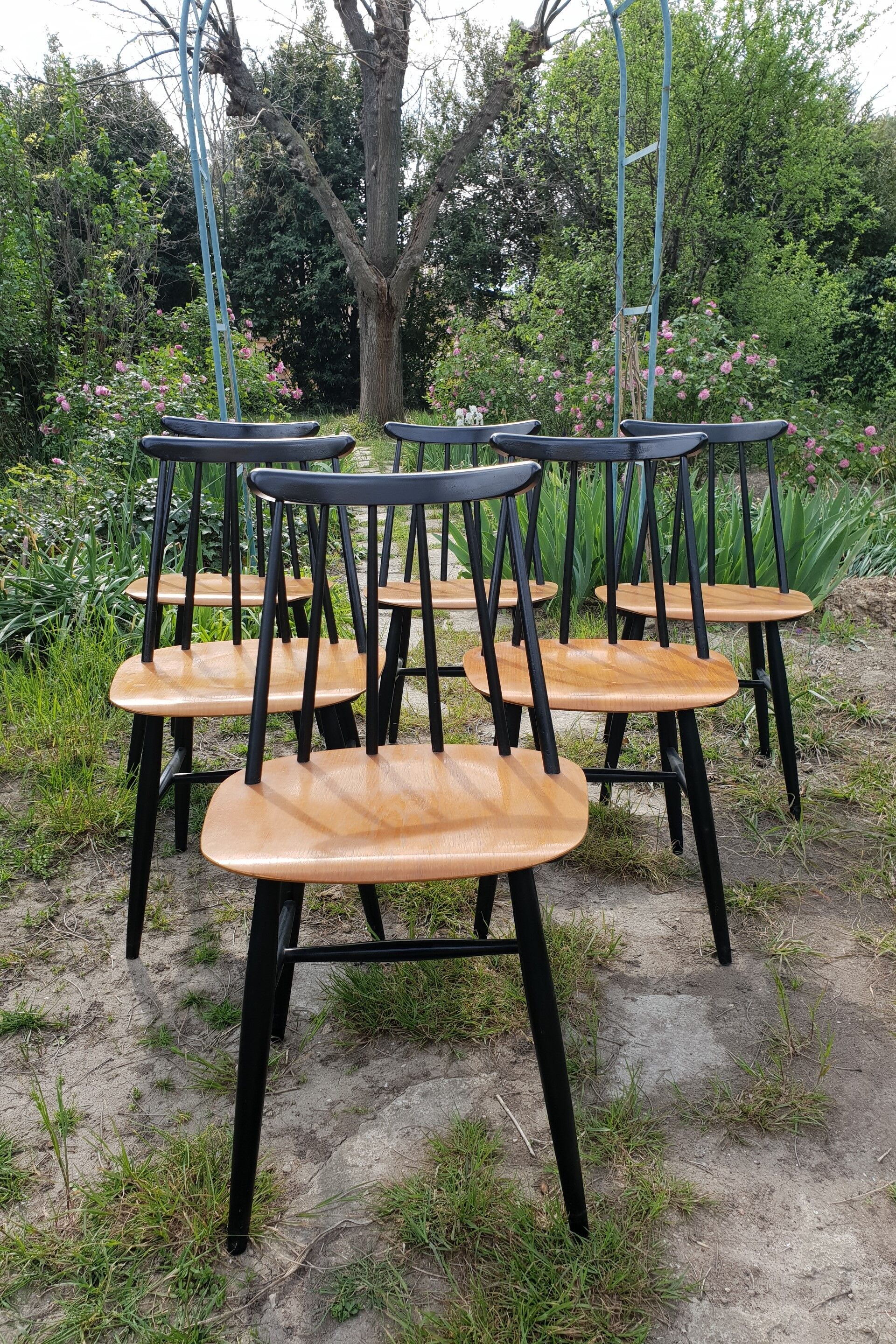 Tapiovaara Fanett 6 Chair Series