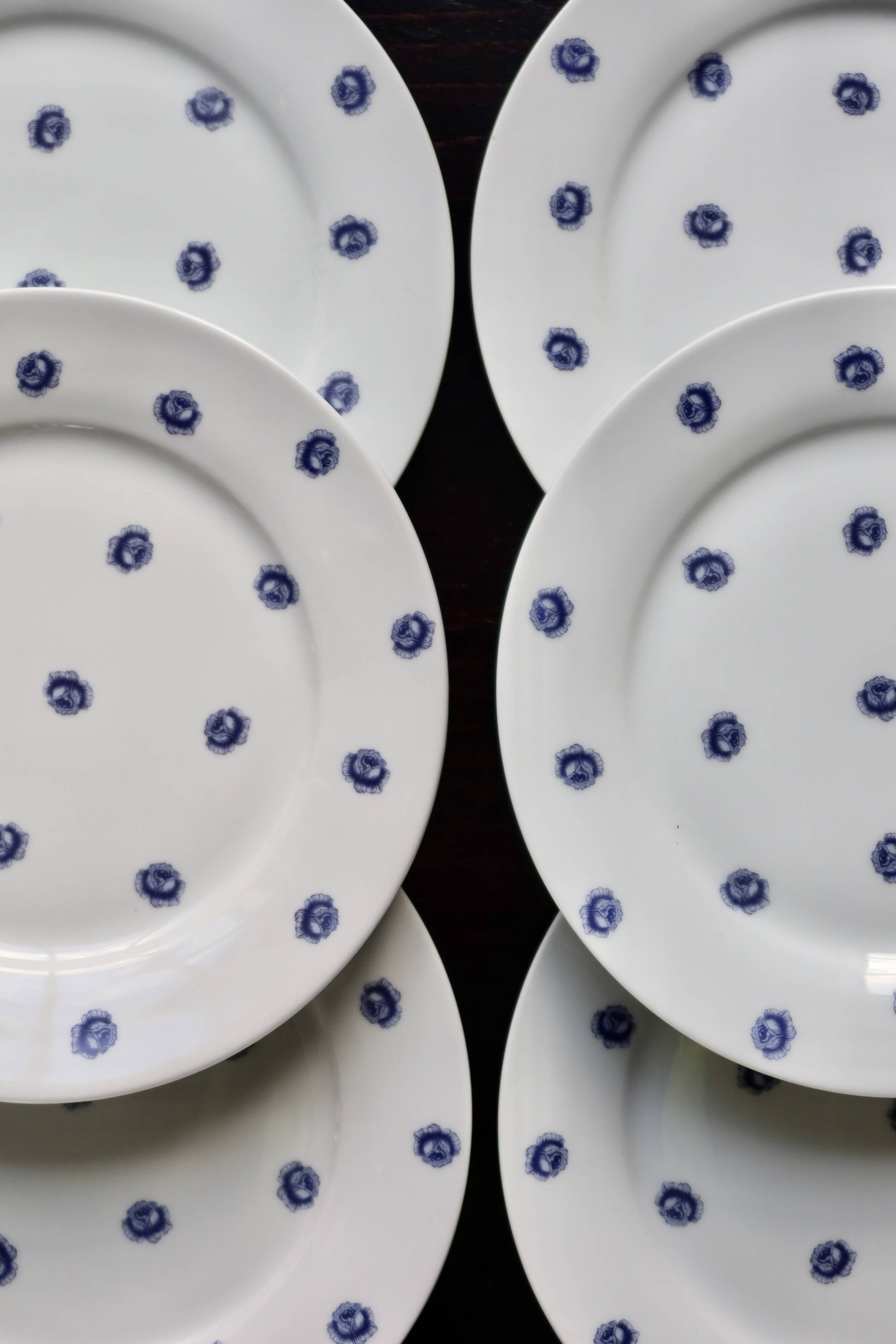 6 vintage white porcelain dinner plates with blue roses