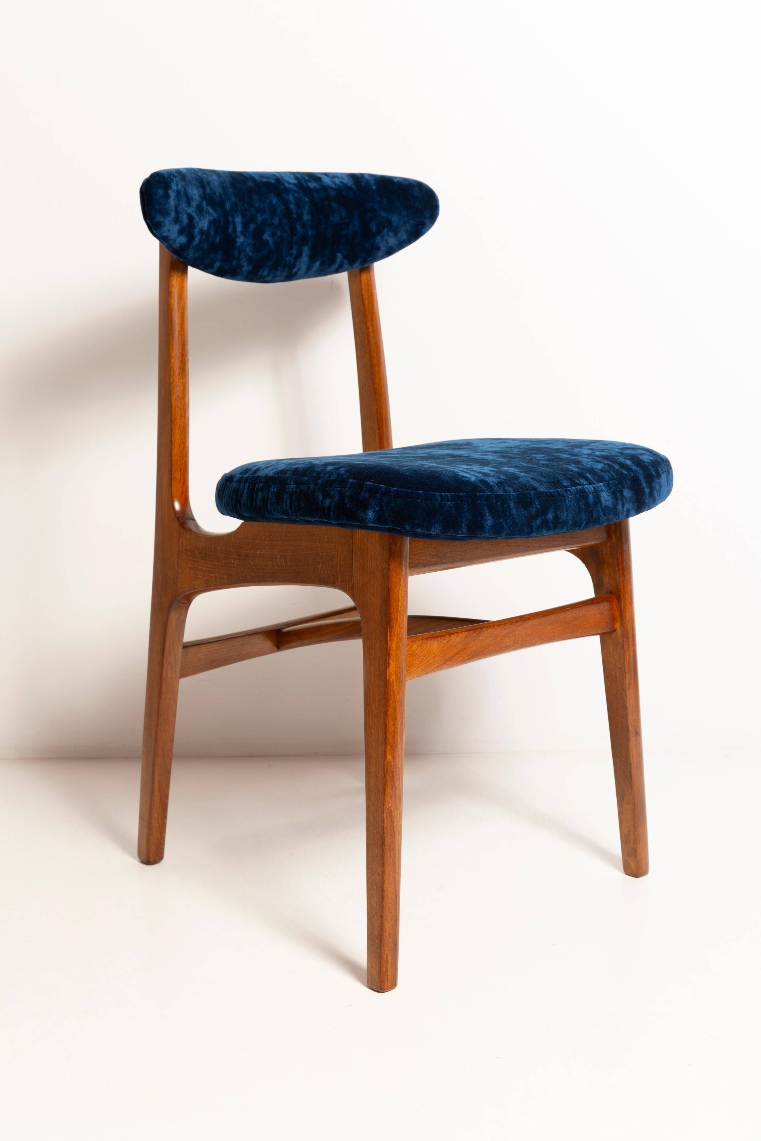 Mid-Century Chair in Navy Blue Velvet, Walnut Wood, Rajmund Halas, 1960s