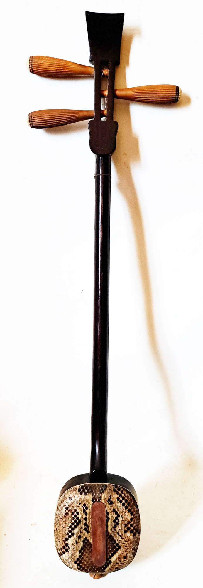 Okinawa shamisen sanshi traditional japanese instrument