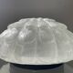 Vintage frosted glass wall or ceiling light