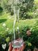 Vase carafe à fond épais
