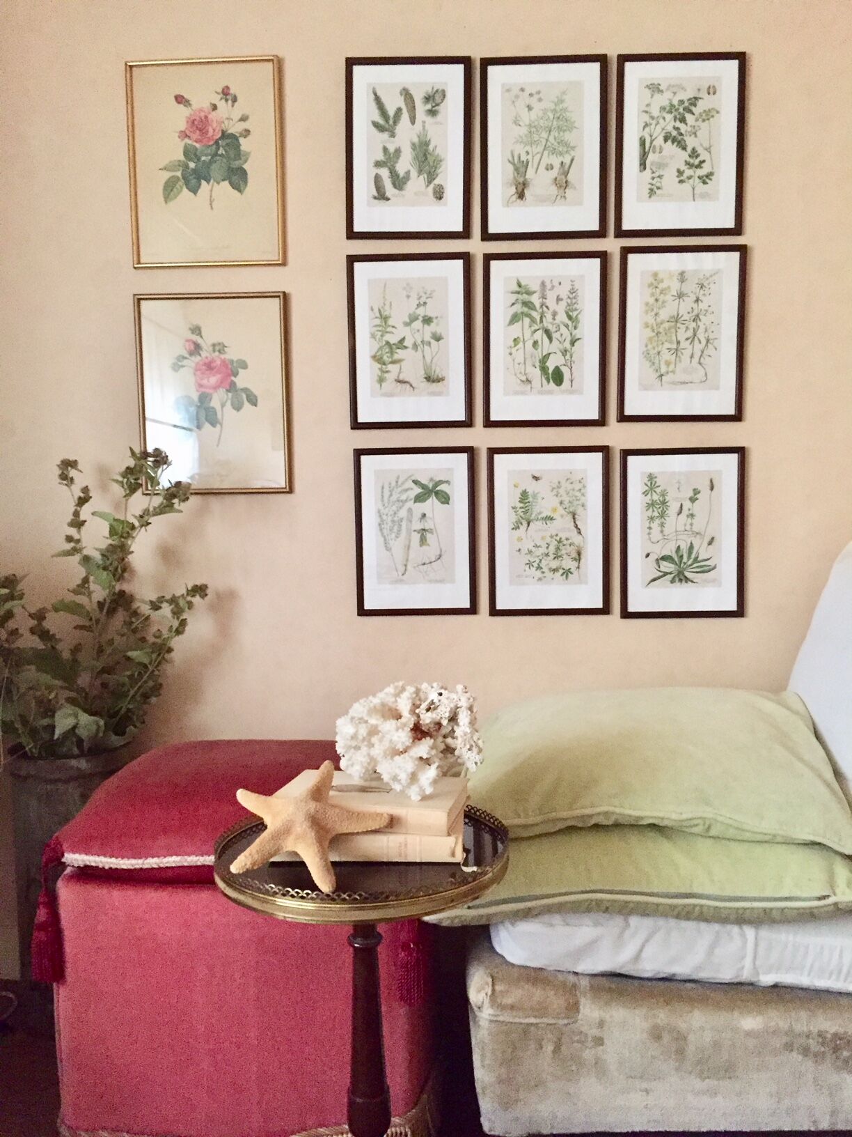 2 framed botanical posters