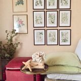 2 framed botanical posters