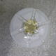 Luminaire ball Murano