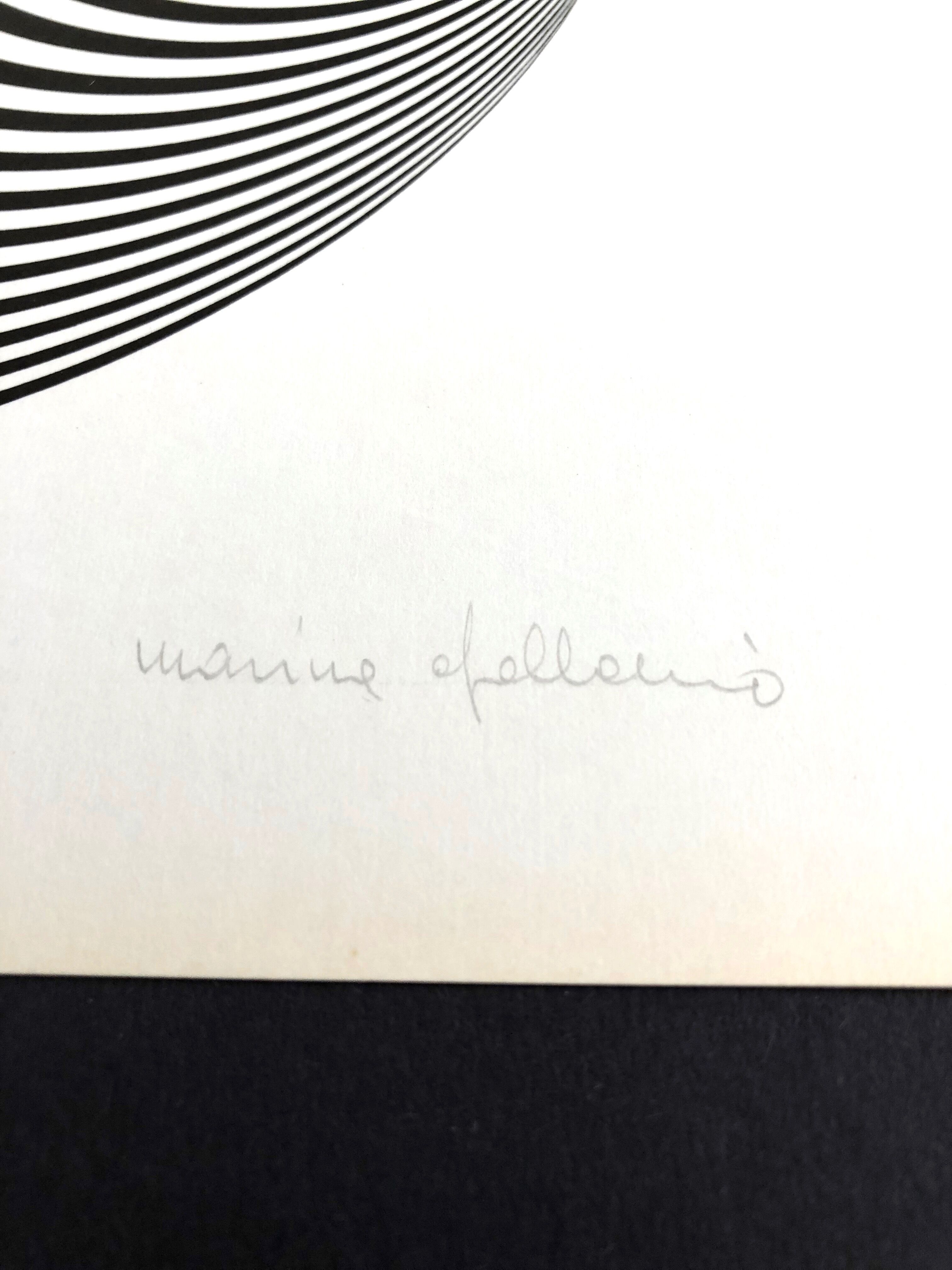 Marina Apollonio: Dinamica Circolare