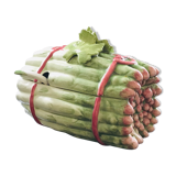 Box asparagus dabbling