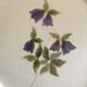 Dish floral décor