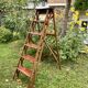 Stepladder - Painter's ladder - Folding