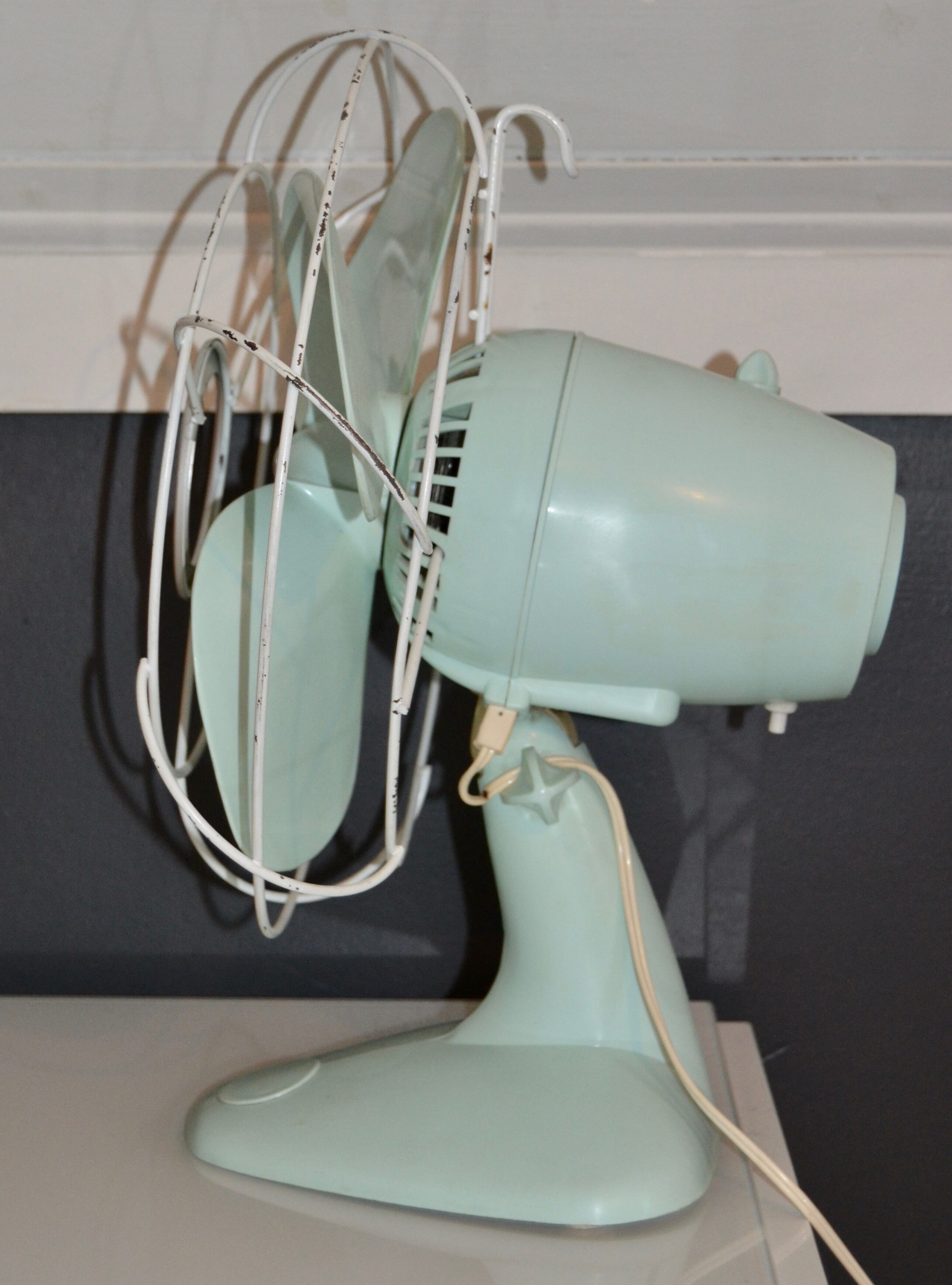 CALOR green mint (fan)