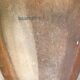 Former baumann model dove chair in wooden feet compass vintage