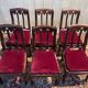 Set of 6 Restoration period chairs in mahogany and threads